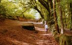 Curriculum PATHS Autumn Update