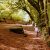Curriculum PATHS Autumn Update