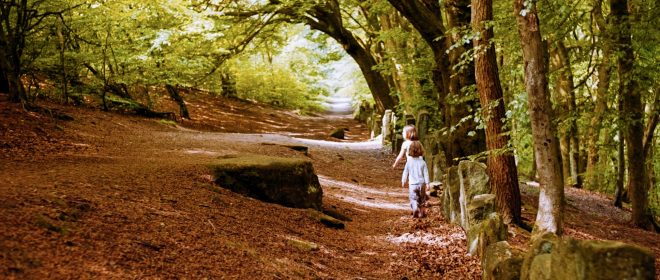 Curriculum PATHS Autumn Update
